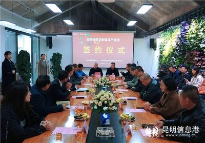 云南建設(shè)數(shù)字新媒體產(chǎn)業(yè)園 以軟件開發(fā)為引擎助推高質(zhì)量跨越式發(fā)展